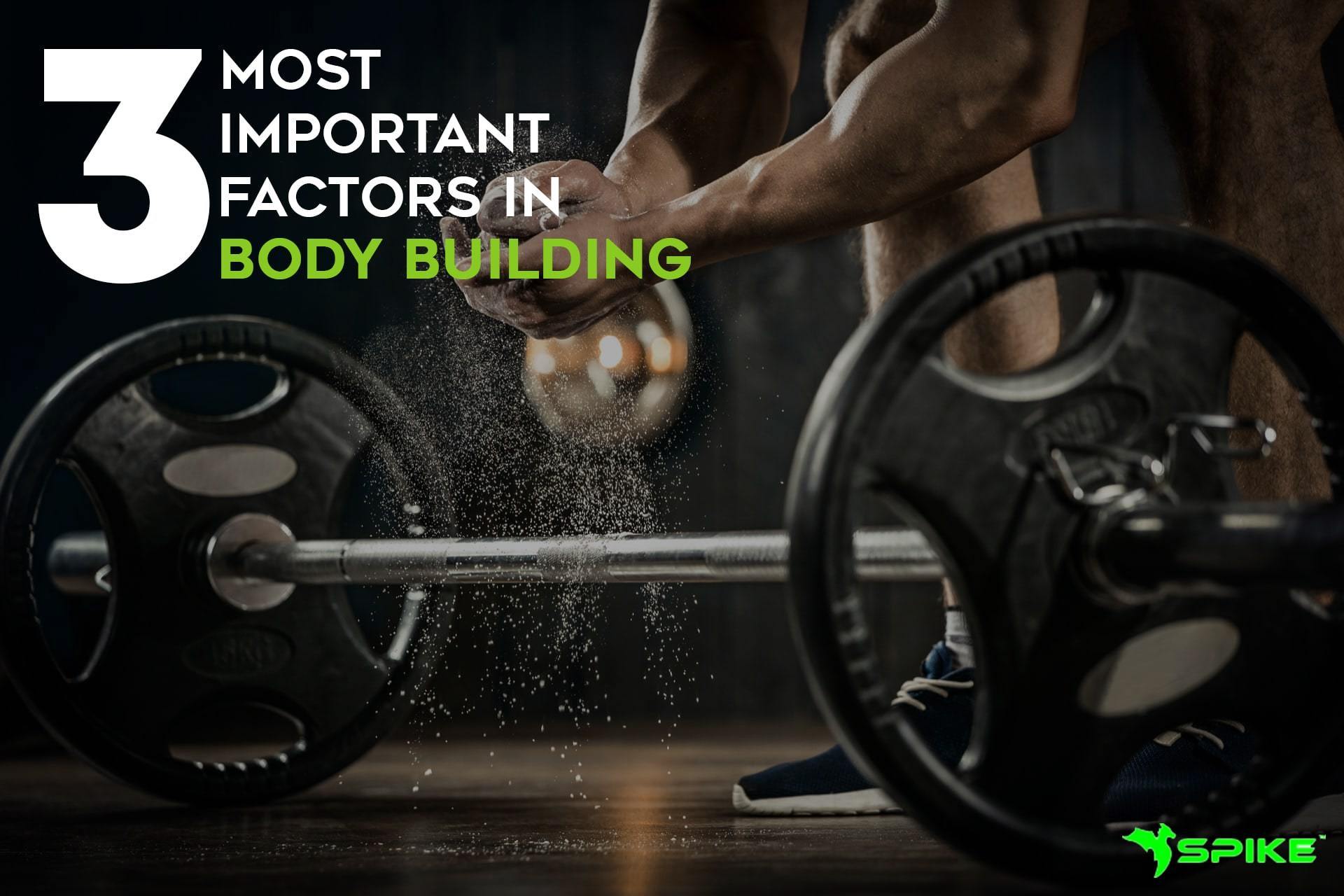 3 Most Important Factors In Building Muscle - Spikefitness