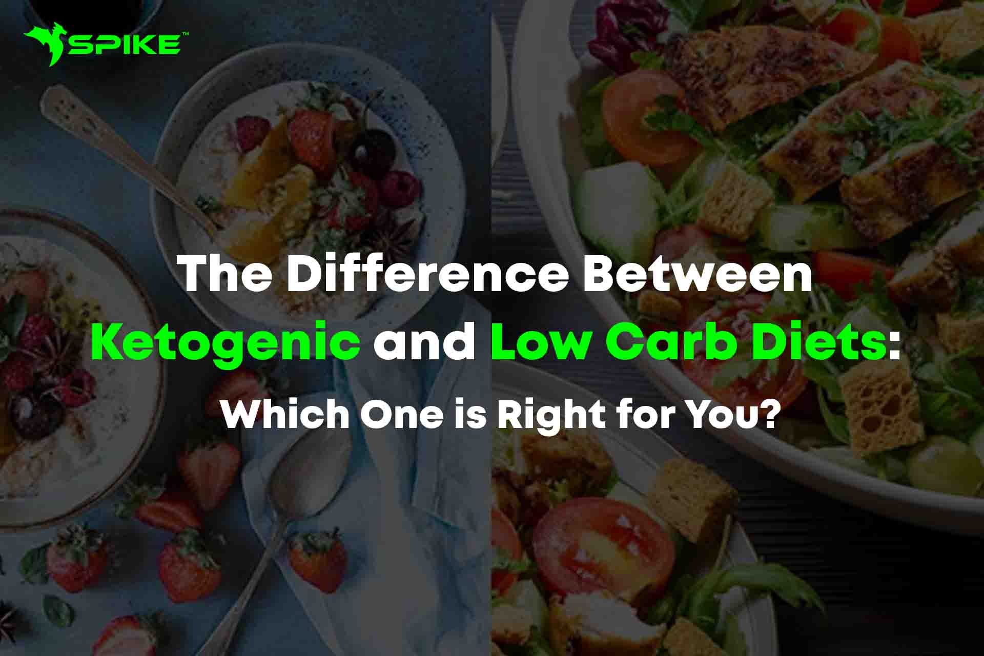 The Difference Between Ketogenic and Low Carb Diets: Which One is Right for You?