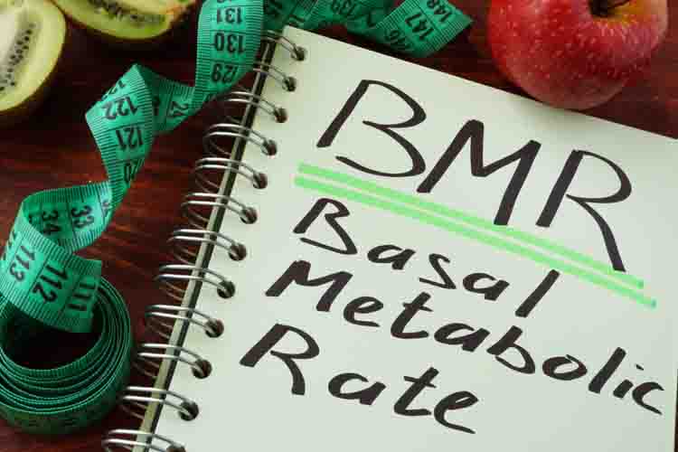 What Is Basal Metabolic Rate and How To Calculate It: A Comprehensive Guide
