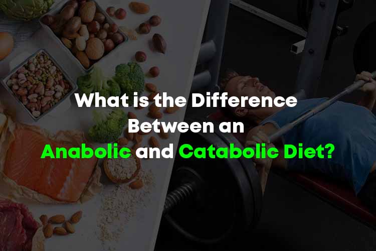 What is the Difference Between an Anabolic and Catabolic Diet?