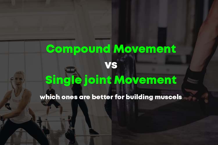 Compound Movements vs. Single Joint Movements: Which Ones Are Better For Building Muscle?