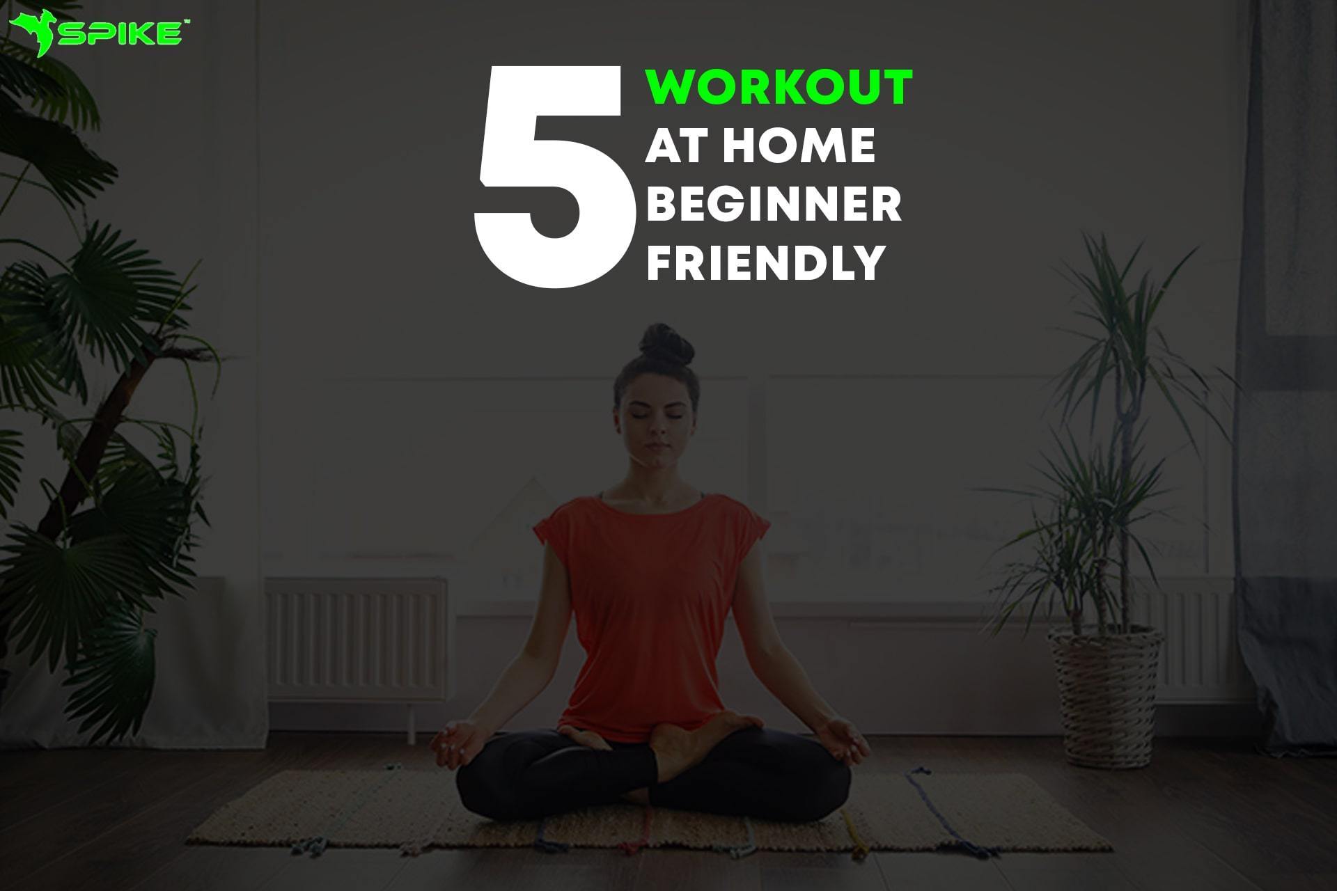 5 Workout At Home Beginner Friendly - Spike