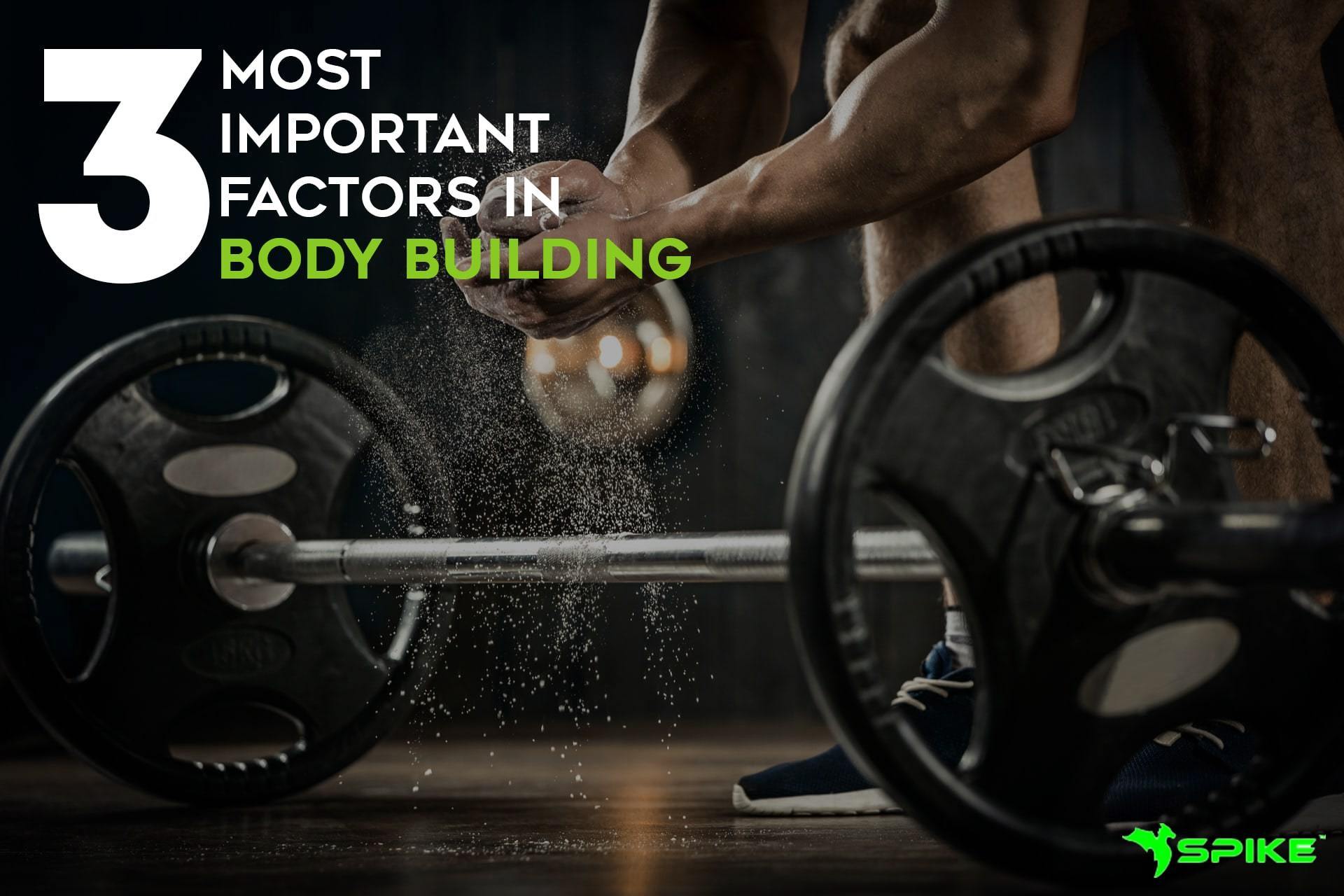 3 Most Important Factors In Building Muscle - Spike